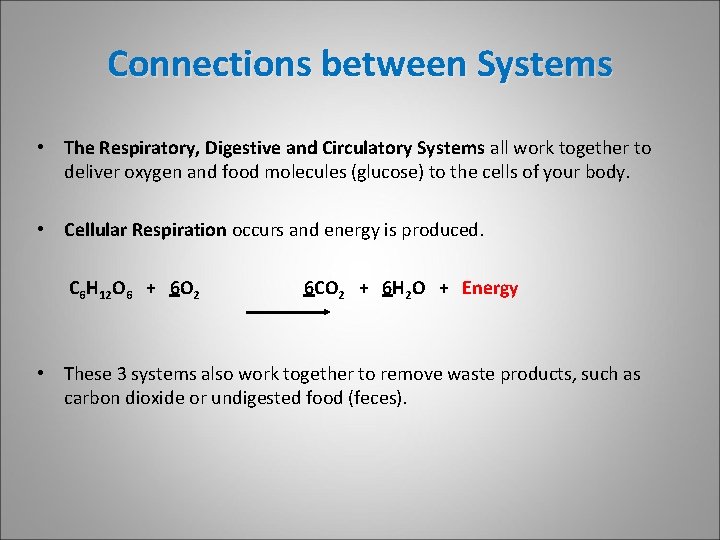 Connections between Systems • The Respiratory, Digestive and Circulatory Systems all work together to