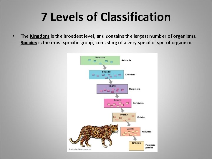 7 Levels of Classification • The Kingdom is the broadest level, and contains the