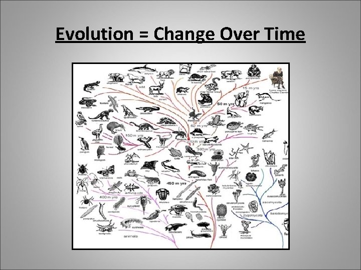 Evolution = Change Over Time 