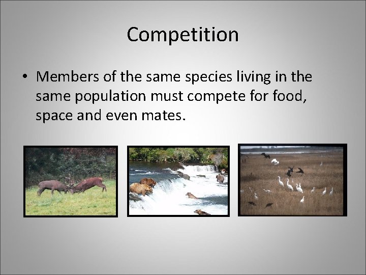 Competition • Members of the same species living in the same population must compete