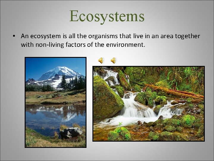Ecosystems • An ecosystem is all the organisms that live in an area together