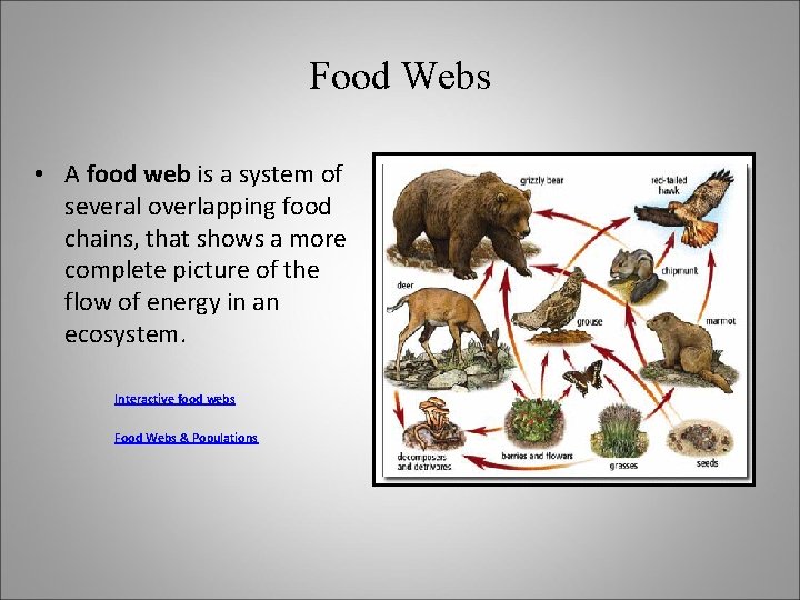 Food Webs • A food web is a system of several overlapping food chains,