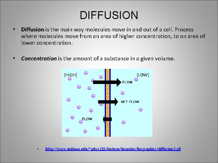 DIFFUSION • Diffusion is the main way molecules move in and out of a