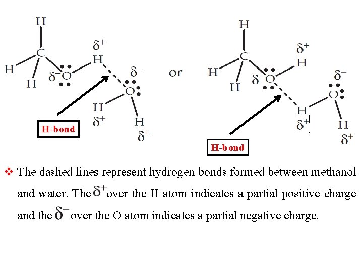 H-bond v The dashed lines represent hydrogen bonds formed between methanol and water. The
