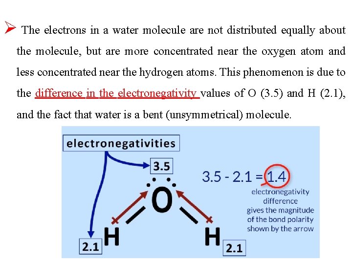 Ø The electrons in a water molecule are not distributed equally about the molecule,