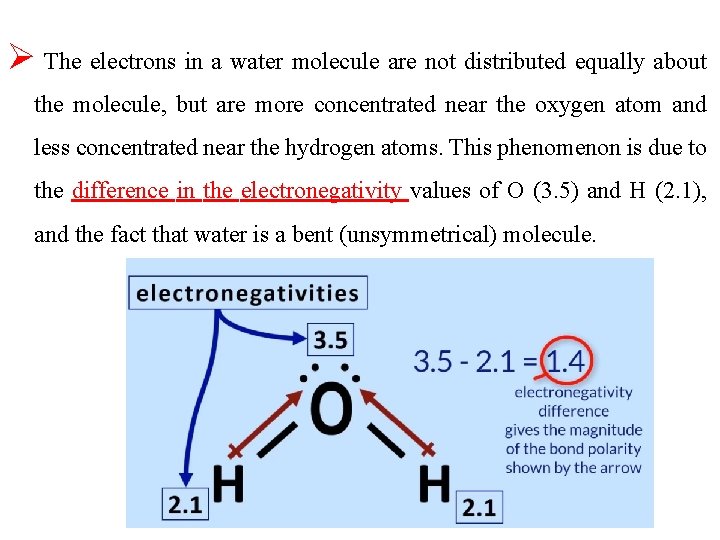 Ø The electrons in a water molecule are not distributed equally about the molecule,