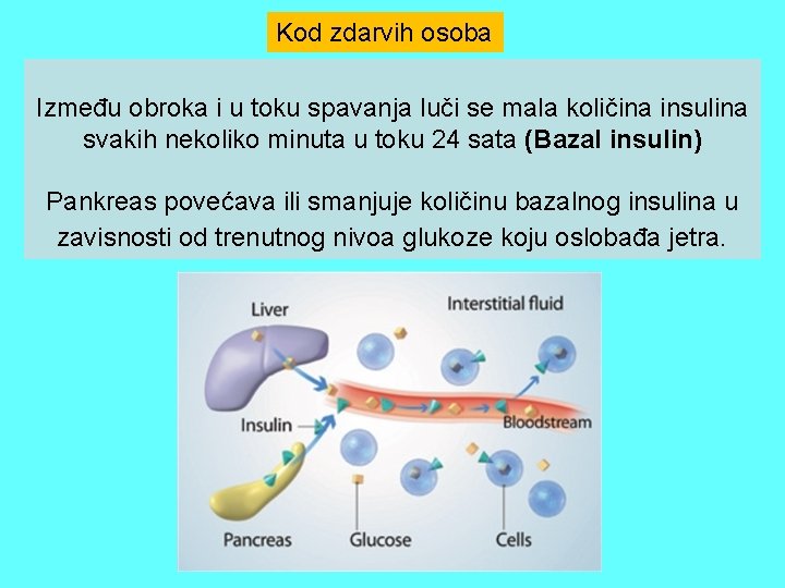 Kod zdarvih osoba Između obroka i u toku spavanja luči se mala količina insulina