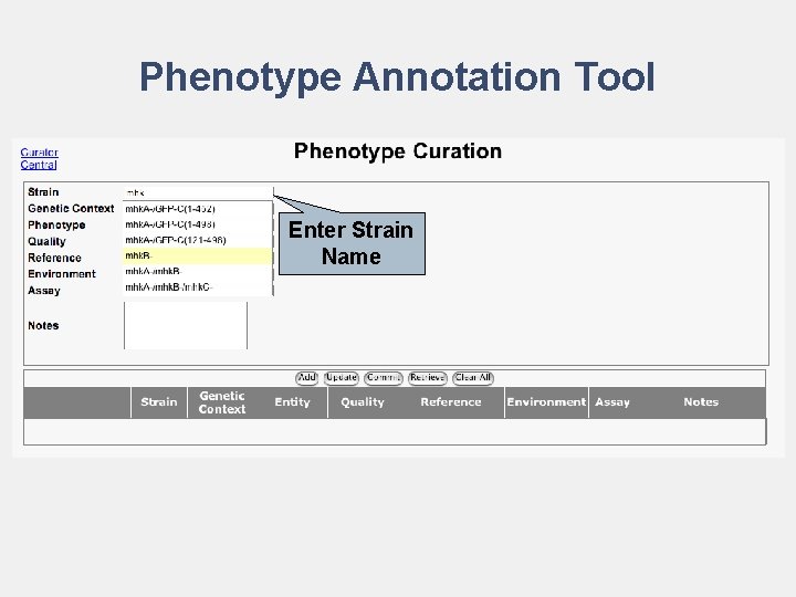 Phenotype Annotation Tool Enter Strain Name 