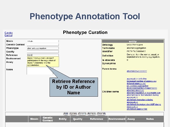 Phenotype Annotation Tool Retrieve Reference by ID or Author Name 