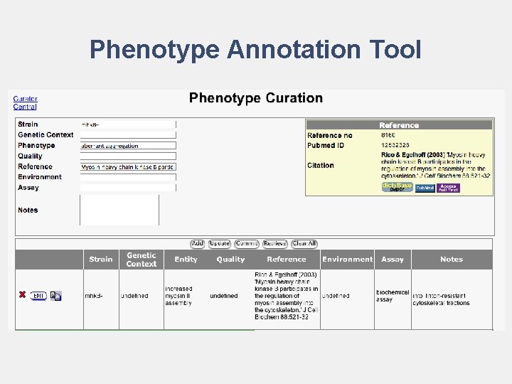 Phenotype Annotation Tool 