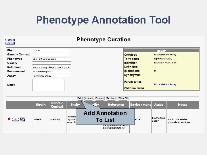 Phenotype Annotation Tool Add Annotation To List 