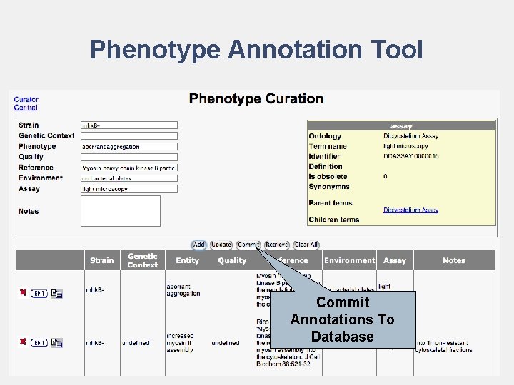 Phenotype Annotation Tool Commit Annotations To Database 