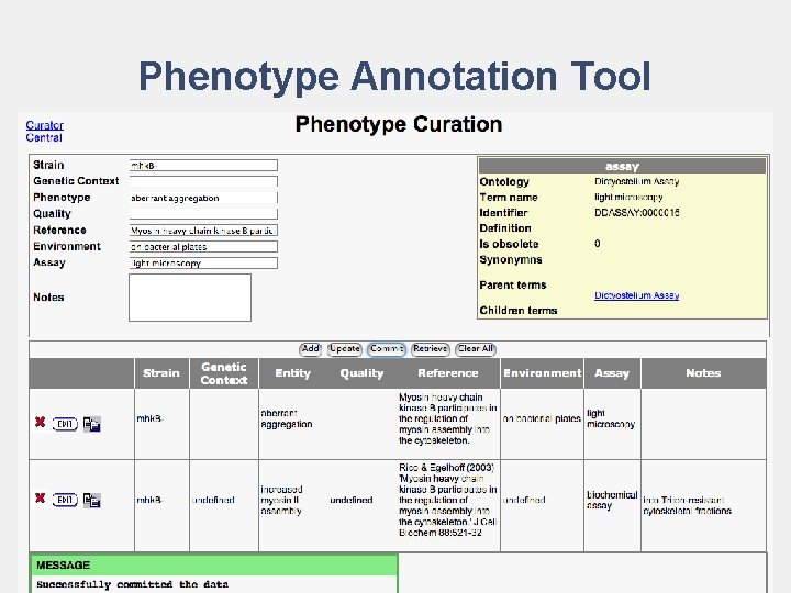 Phenotype Annotation Tool 