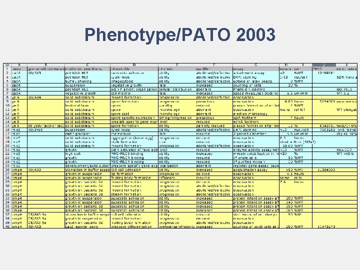 Phenotype/PATO 2003 