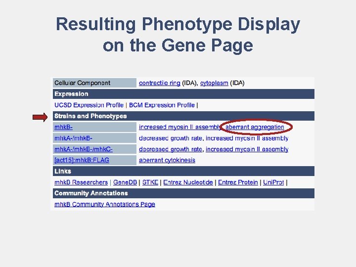 Resulting Phenotype Display on the Gene Page 