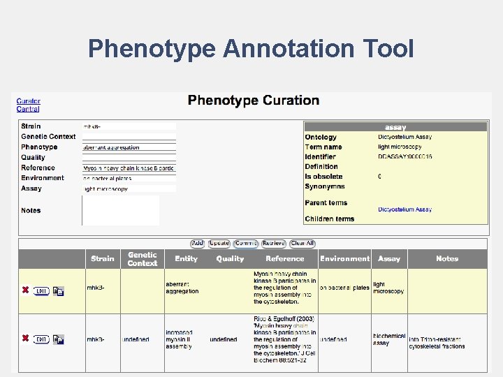 Phenotype Annotation Tool 