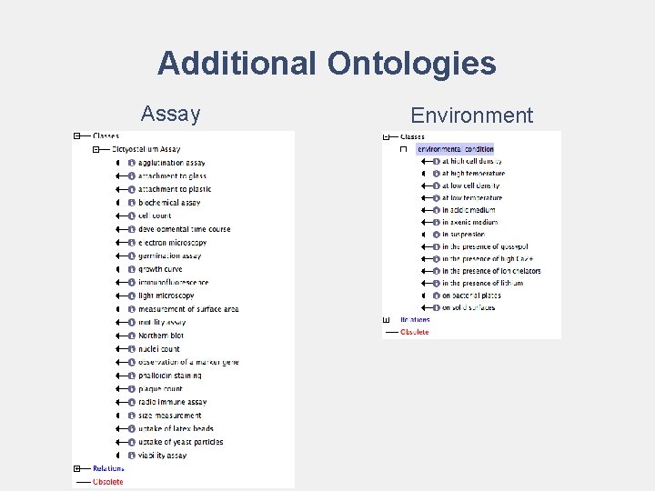 Additional Ontologies Assay Environment 
