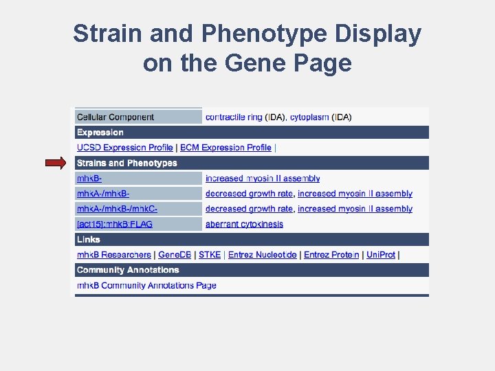 Strain and Phenotype Display on the Gene Page 