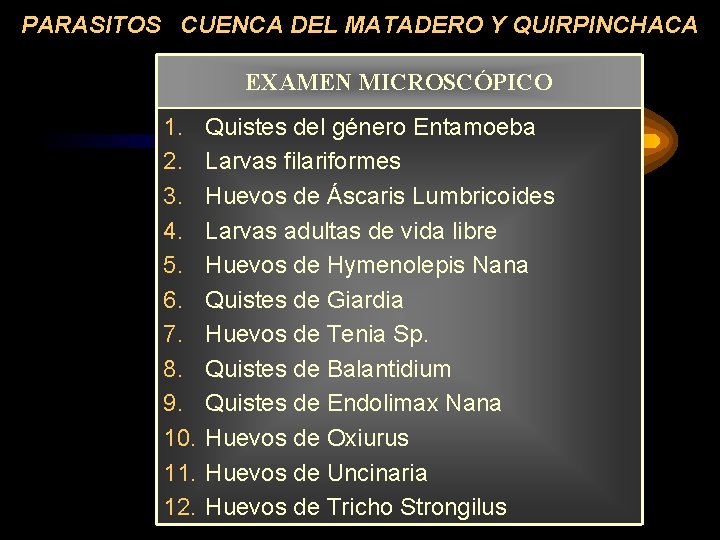 PARASITOS CUENCA DEL MATADERO Y QUIRPINCHACA EXAMEN MICROSCÓPICO 1. 2. 3. 4. 5. 6.