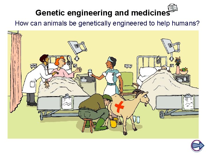 Genetic engineering and medicines How can animals be genetically engineered to help humans? 