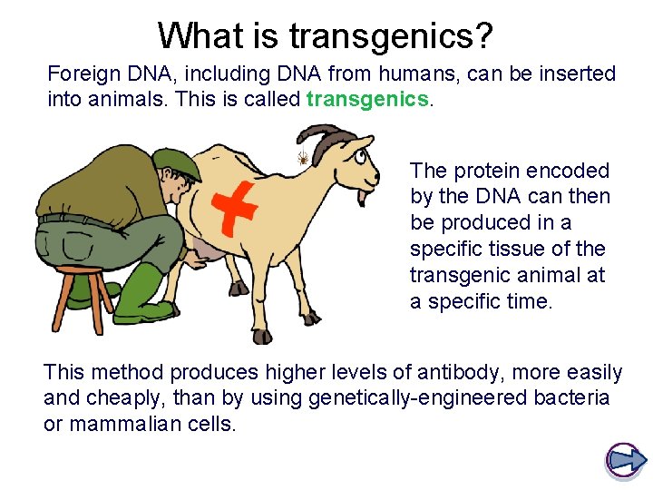 What is transgenics? Foreign DNA, including DNA from humans, can be inserted into animals.