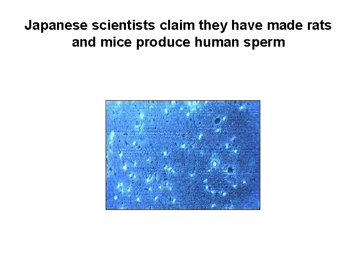 Japanese scientists claim they have made rats and mice produce human sperm 