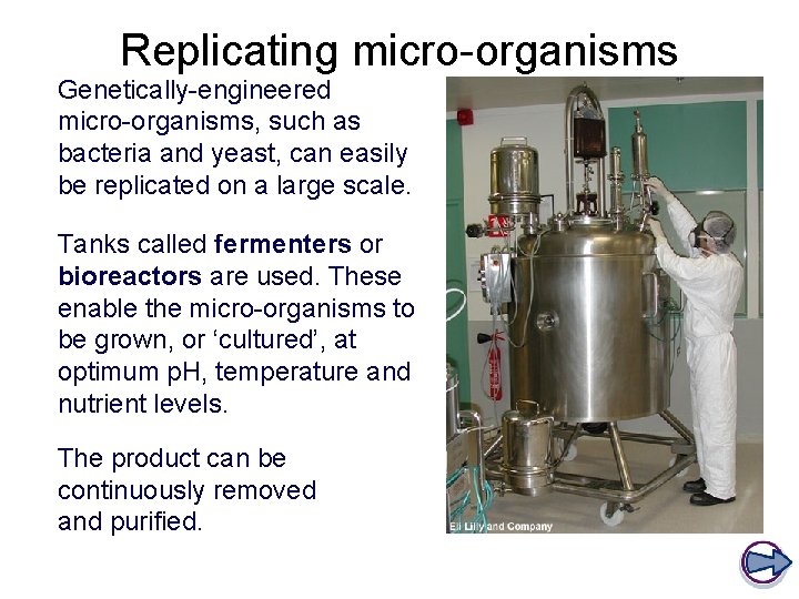 Replicating micro-organisms Genetically-engineered micro-organisms, such as bacteria and yeast, can easily be replicated on