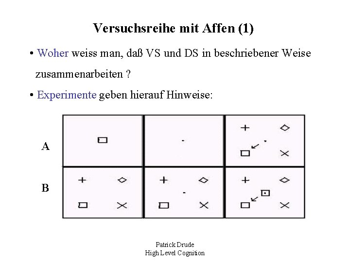 Versuchsreihe mit Affen (1) • Woher weiss man, daß VS und DS in beschriebener