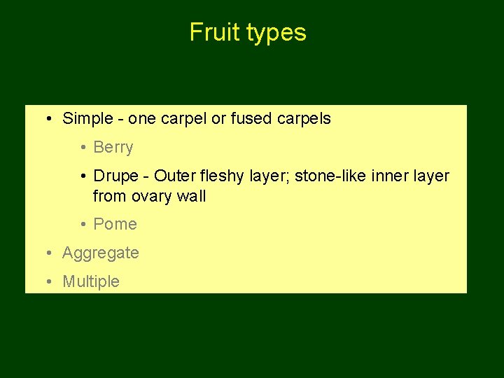 Fruit types • Simple - one carpel or fused carpels • Berry • Drupe