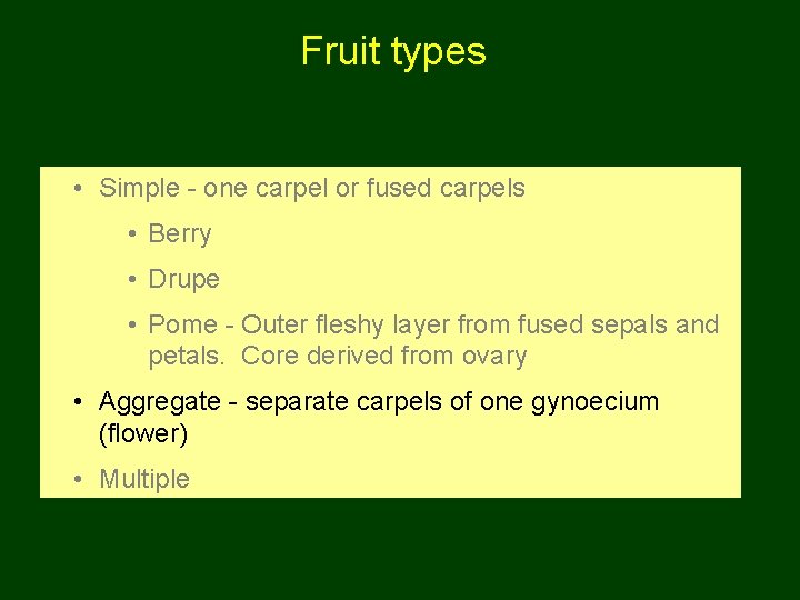 Fruit types • Simple - one carpel or fused carpels • Berry • Drupe