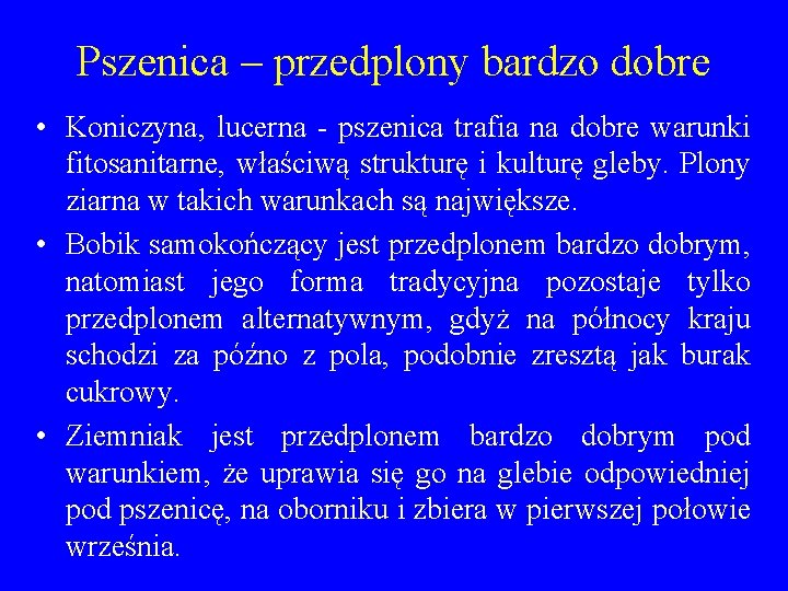 Pszenica – przedplony bardzo dobre • Koniczyna, lucerna - pszenica trafia na dobre warunki