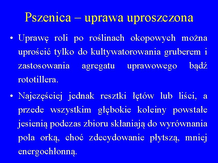 Pszenica – uprawa uproszczona • Uprawę roli po roślinach okopowych można uprościć tylko do