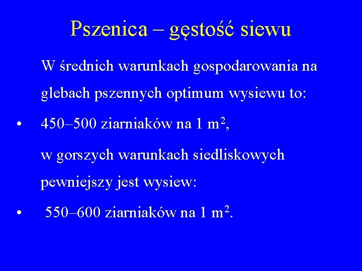 Pszenica – gęstość siewu W średnich warunkach gospodarowania na glebach pszennych optimum wysiewu to: