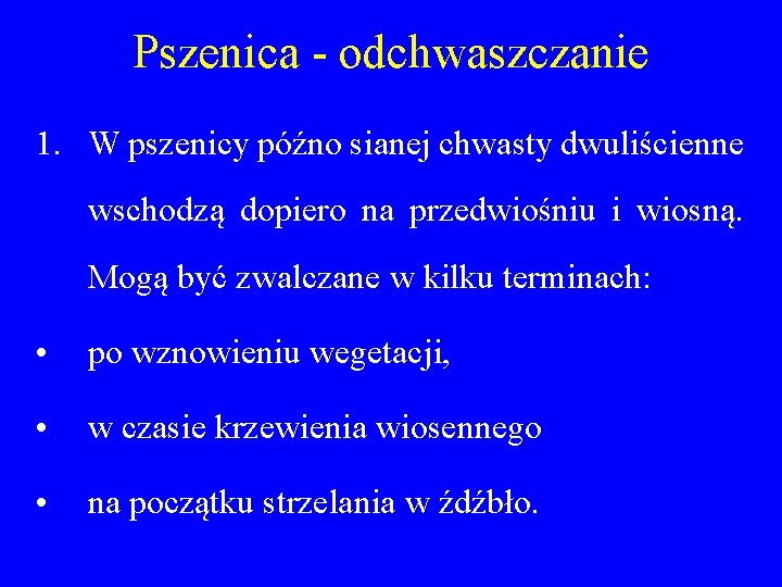 Pszenica - odchwaszczanie 1. W pszenicy późno sianej chwasty dwuliścienne wschodzą dopiero na przedwiośniu