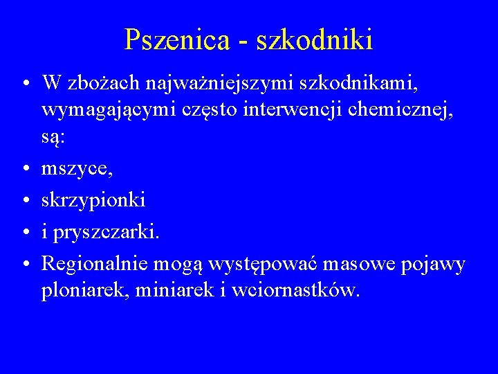 Pszenica - szkodniki • W zbożach najważniejszymi szkodnikami, wymagającymi często interwencji chemicznej, są: •