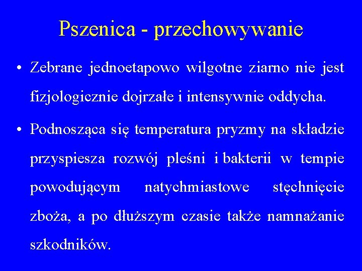 Pszenica - przechowywanie • Zebrane jednoetapowo wilgotne ziarno nie jest fizjologicznie dojrzałe i intensywnie