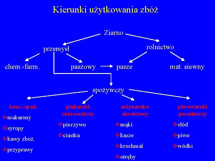 Kierunki użytkowania zbóż Ziarno rolnictwo przemysł chem. -farm. paszowy pasze mat. siewny spożywczy konc.