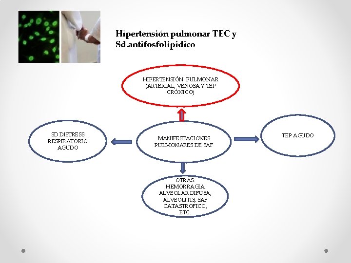 Hipertensión pulmonar TEC y Sd. antifosfolipidico HIPERTENSIÓN PULMONAR (ARTERIAL, VENOSA Y TEP CRÓNICO) SD