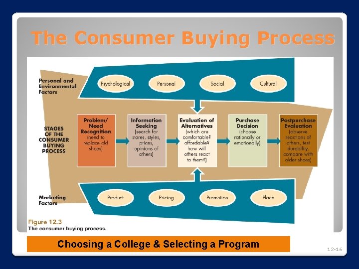 The Consumer Buying Process Choosing a College & Selecting a Program 12 -16 