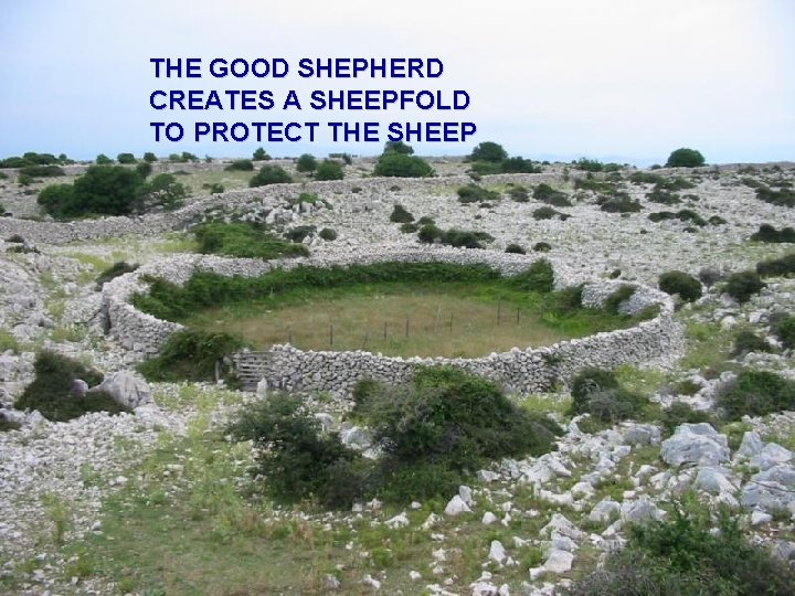 THE GOOD SHEPHERD CREATES A SHEEPFOLD TO PROTECT THE SHEEP 