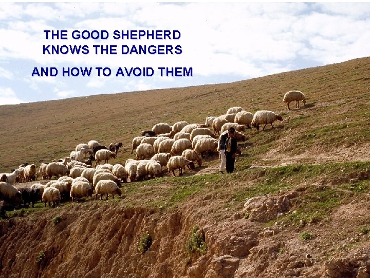 THE GOOD SHEPHERD KNOWS THE DANGERS AND HOW TO AVOID THEM 