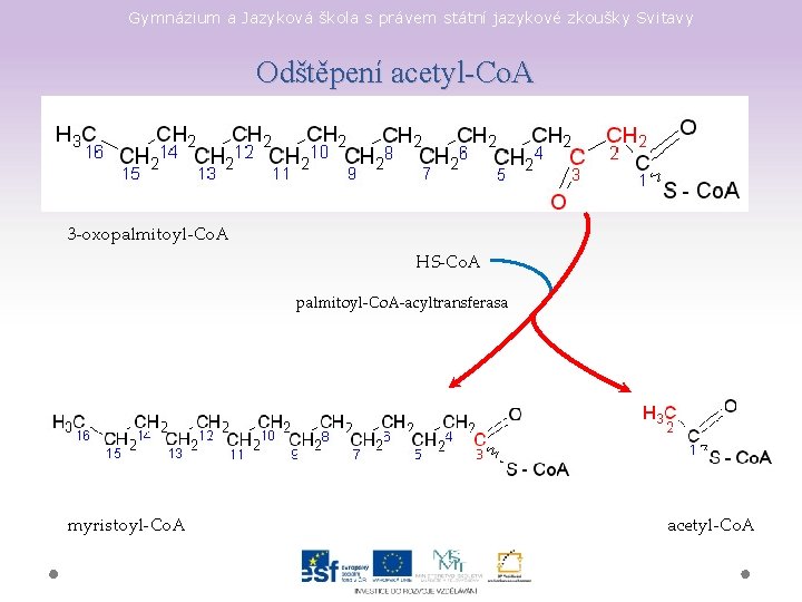 Gymnázium a Jazyková škola s právem státní jazykové zkoušky Svitavy Odštěpení acetyl-Co. A 3