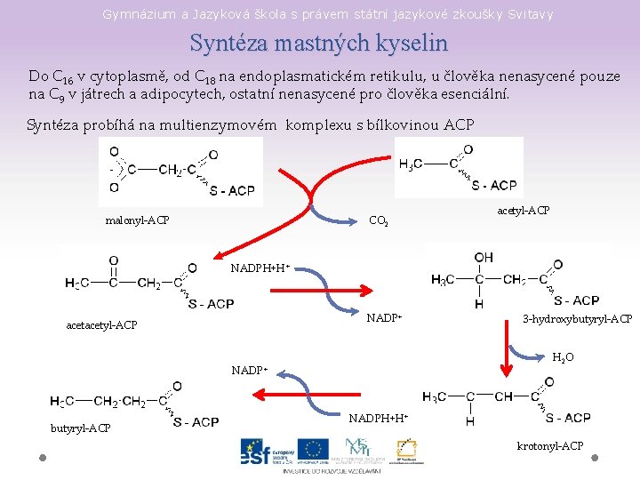 Gymnázium a Jazyková škola s právem státní jazykové zkoušky Svitavy Syntéza mastných kyselin Do