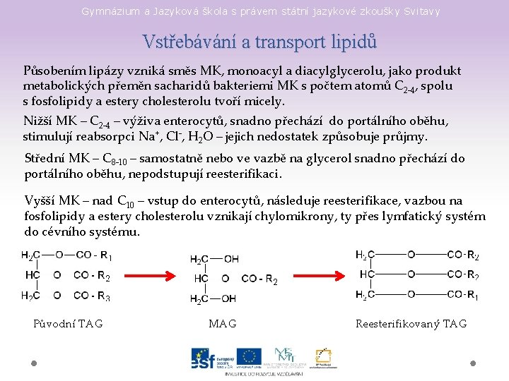 Gymnázium a Jazyková škola s právem státní jazykové zkoušky Svitavy Vstřebávání a transport lipidů