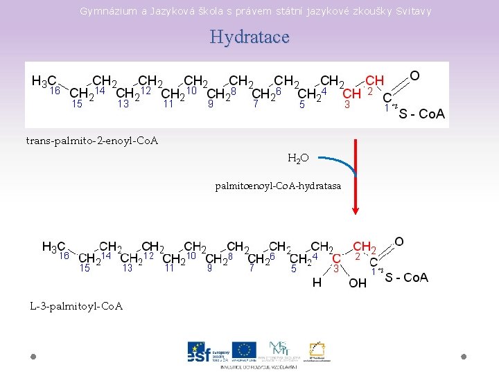 Gymnázium a Jazyková škola s právem státní jazykové zkoušky Svitavy Hydratace trans-palmito-2 -enoyl-Co. A