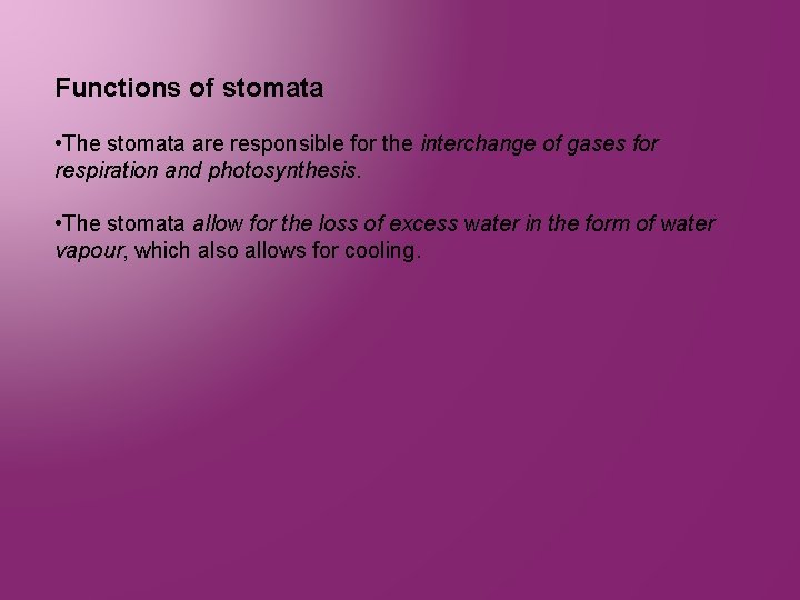 Functions of stomata • The stomata are responsible for the interchange of gases for