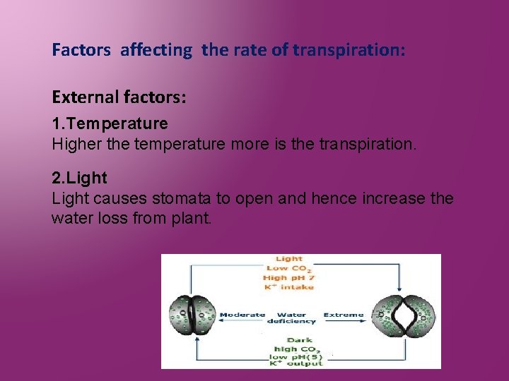 Factors affecting the rate of transpiration: External factors: 1. Temperature Higher the temperature more