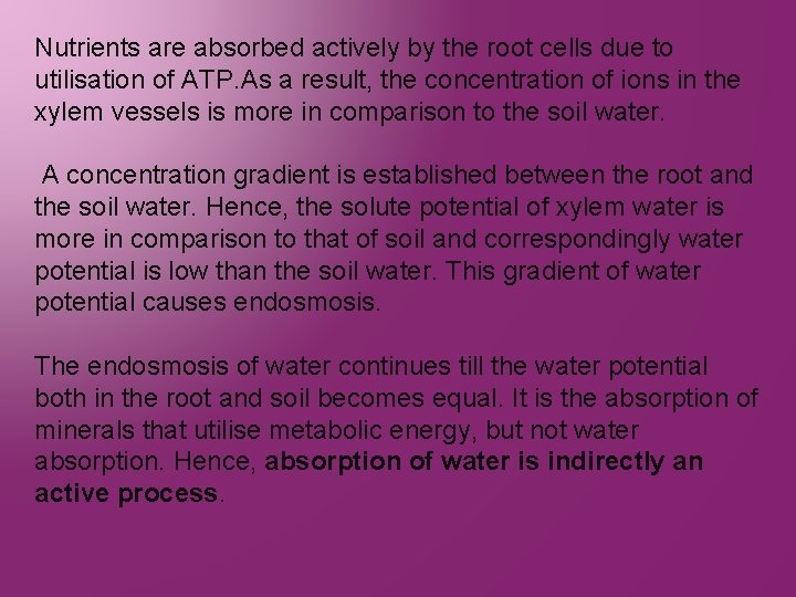 Nutrients are absorbed actively by the root cells due to utilisation of ATP. As