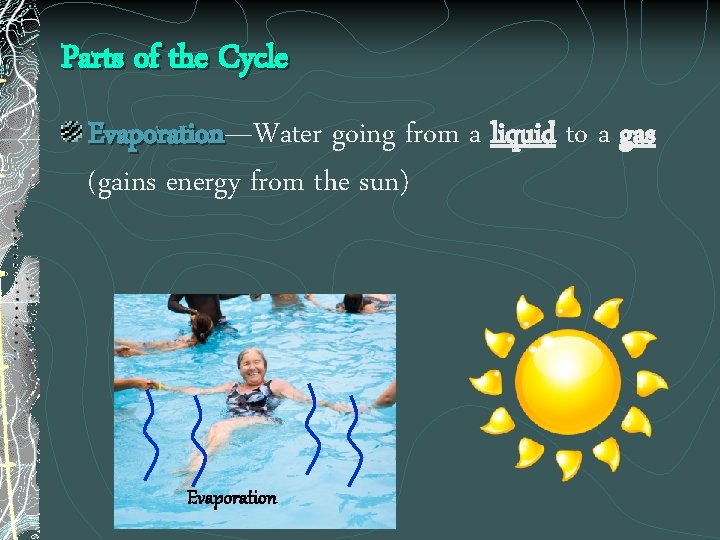 Parts of the Cycle Evaporation—Water going from a liquid to a gas Evaporation (gains