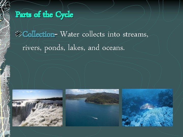 Parts of the Cycle Collection- Water collects into streams, rivers, ponds, lakes, and oceans.